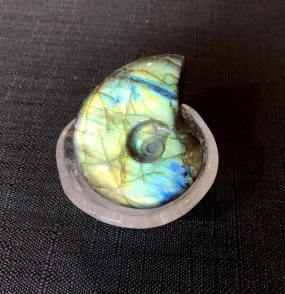 Carved Golden Blue Labradorite Ammonite