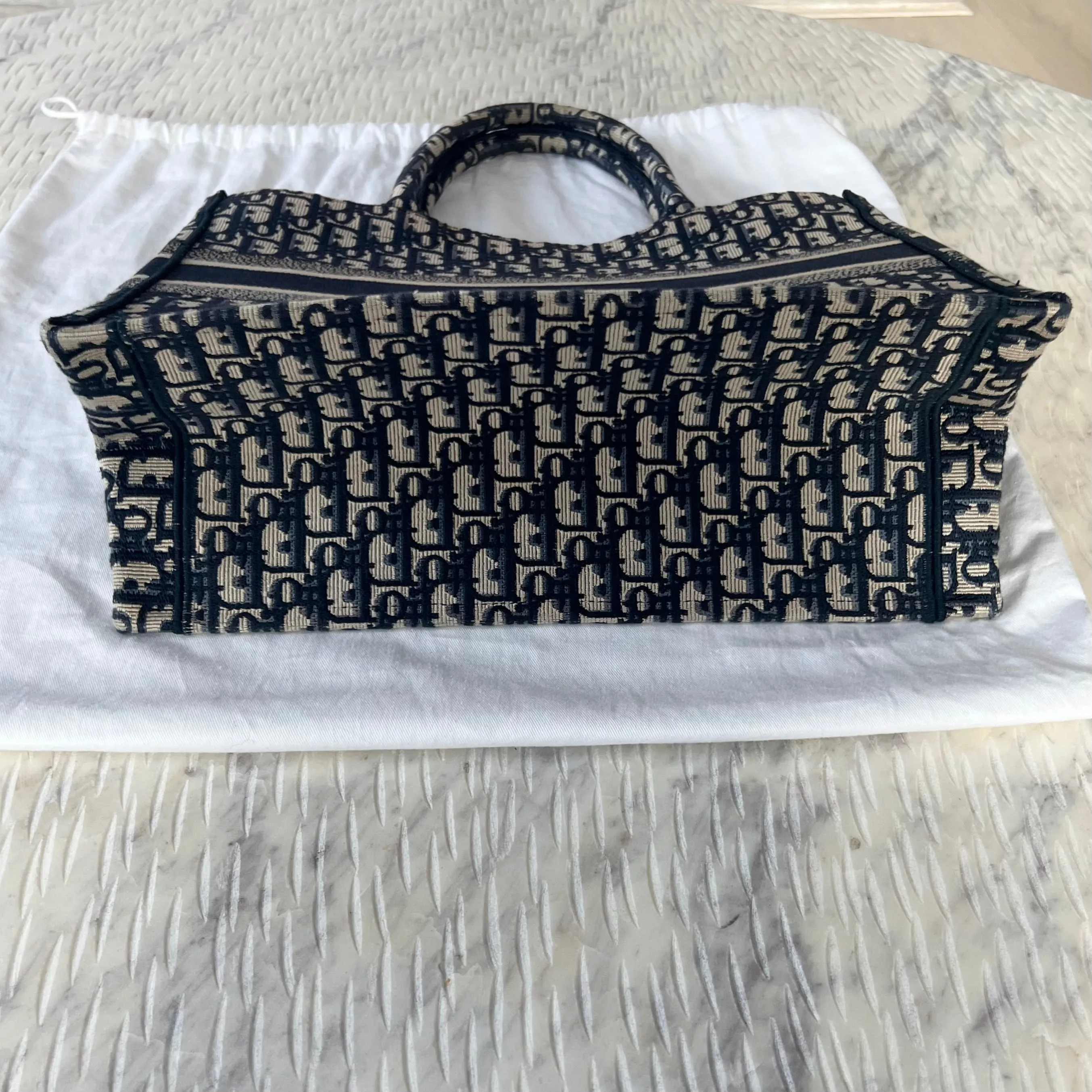 Christian Dior Book Tote Bag