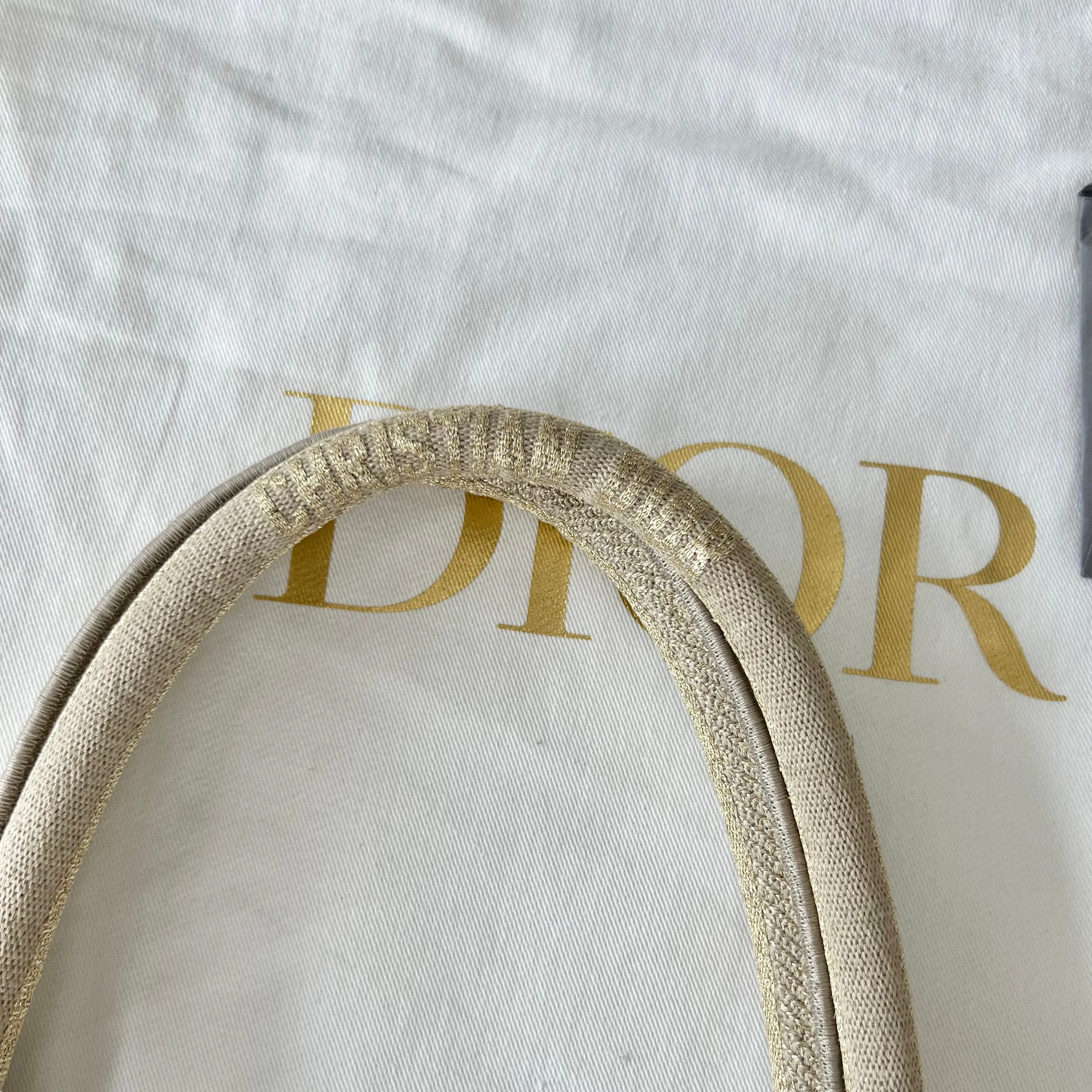 Christian Dior Book Tote Bag