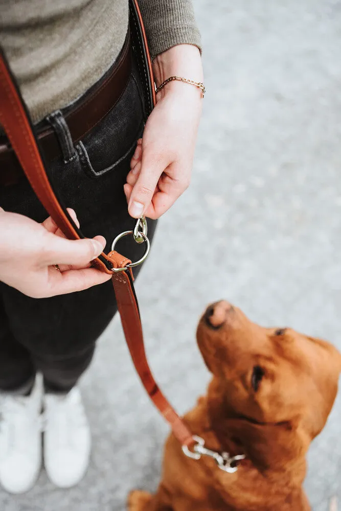 HUNTER "UP" Canadian Collars