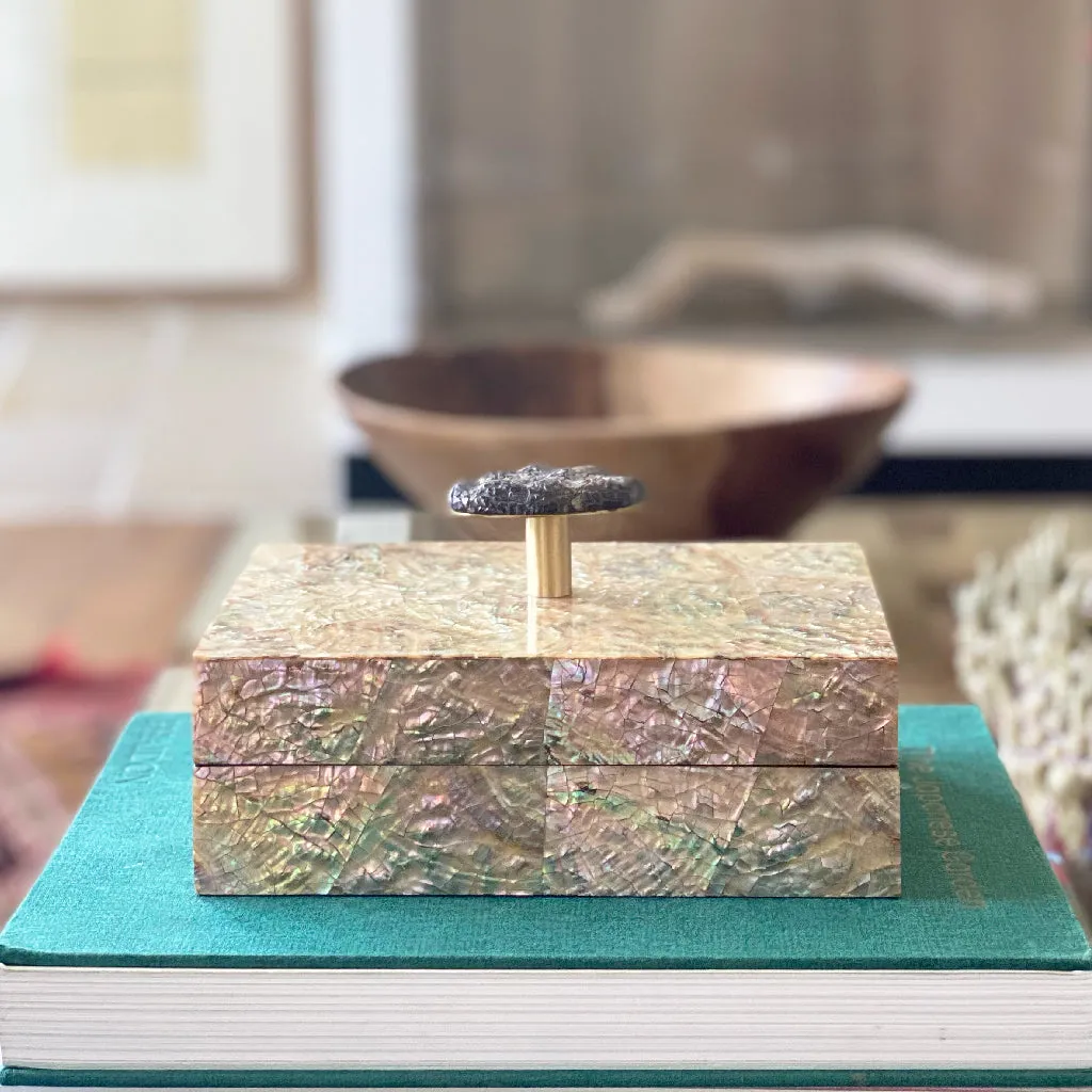 LUNA Pebble Handle Box - Upcycled Abalone