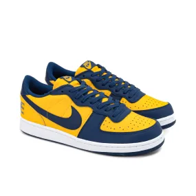 Nike Terminator Low OG "Michigan"  FJ4206-700